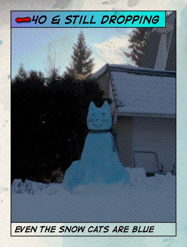 snowcat