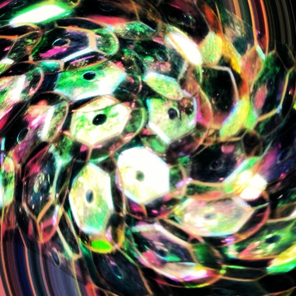 sequins