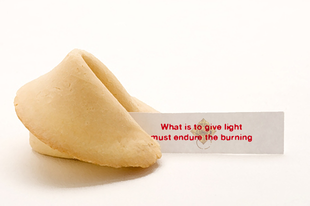 fortune cookie 12