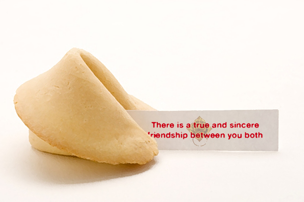 fortune cookie 13