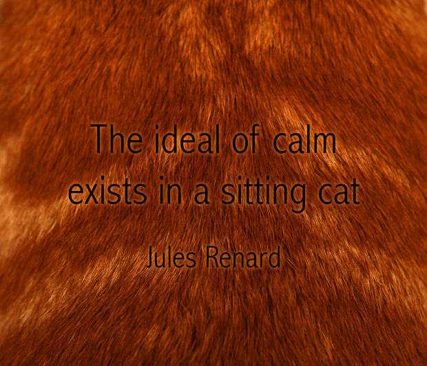 renard quote