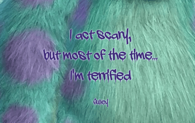 sulley quote