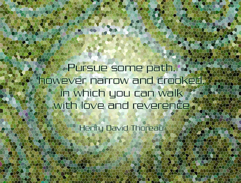 thoreau-quote 2