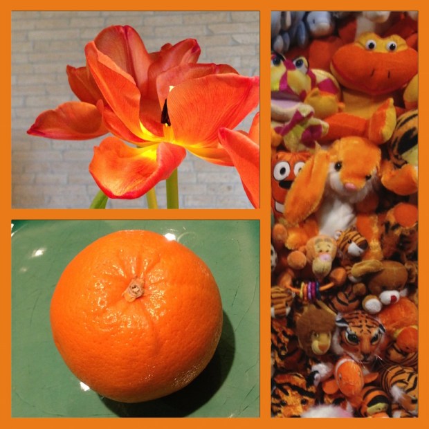 collage of orange photos