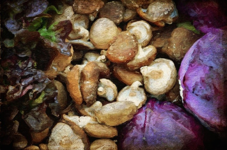 painterly mushrooms, lettuce and cabbage