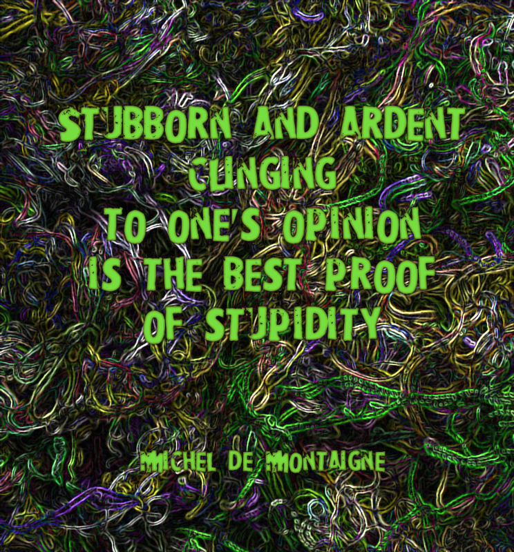 de-montaigne-quote