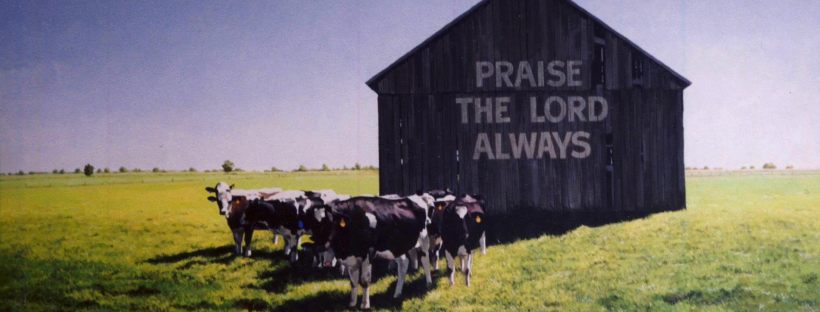 Painting of black and white cows standing on green grass in front of a grey weathered barn that has "Praise the Lord always" painted on the side.
